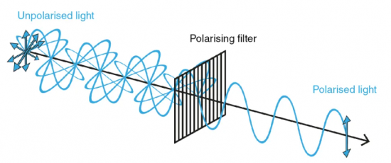 Polarization of Light ?