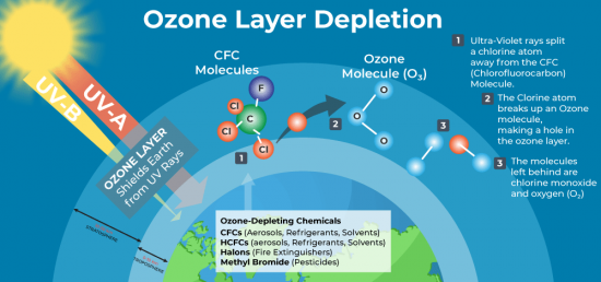 What is the Ozone ?
